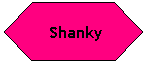 Flowchart: Preparation:  Shanky
