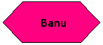 Flowchart: Preparation:  Banu
