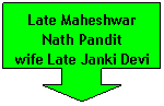 Down Arrow Callout: Late Maheshwar
Nath Pandit
wife Late Janki Devi
