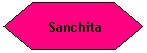 Flowchart: Preparation:  Sanchita
