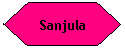 Flowchart: Preparation: Sanjula
