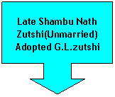 Down Arrow Callout: Late Shambu Nath Zutshi(Unmarried) Adopted G.L.zutshi
