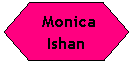 Flowchart: Preparation:  Monica Ishan

