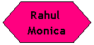 Flowchart: Preparation: Rahul  Monica
