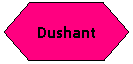 Flowchart: Preparation: Dushant
