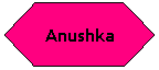 Flowchart: Preparation: Anushka
